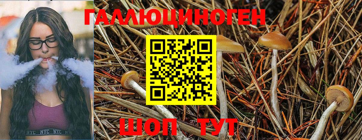 Псилоцибиновые грибы Magic Shrooms Кумертау