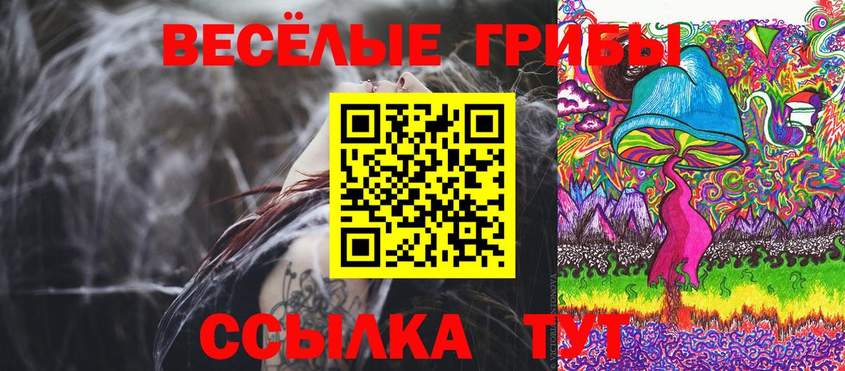 Галлюциногенные грибы Psilocybe  Вход с VPN  Псилоцибиновые грибы мицелий  Кумертау 